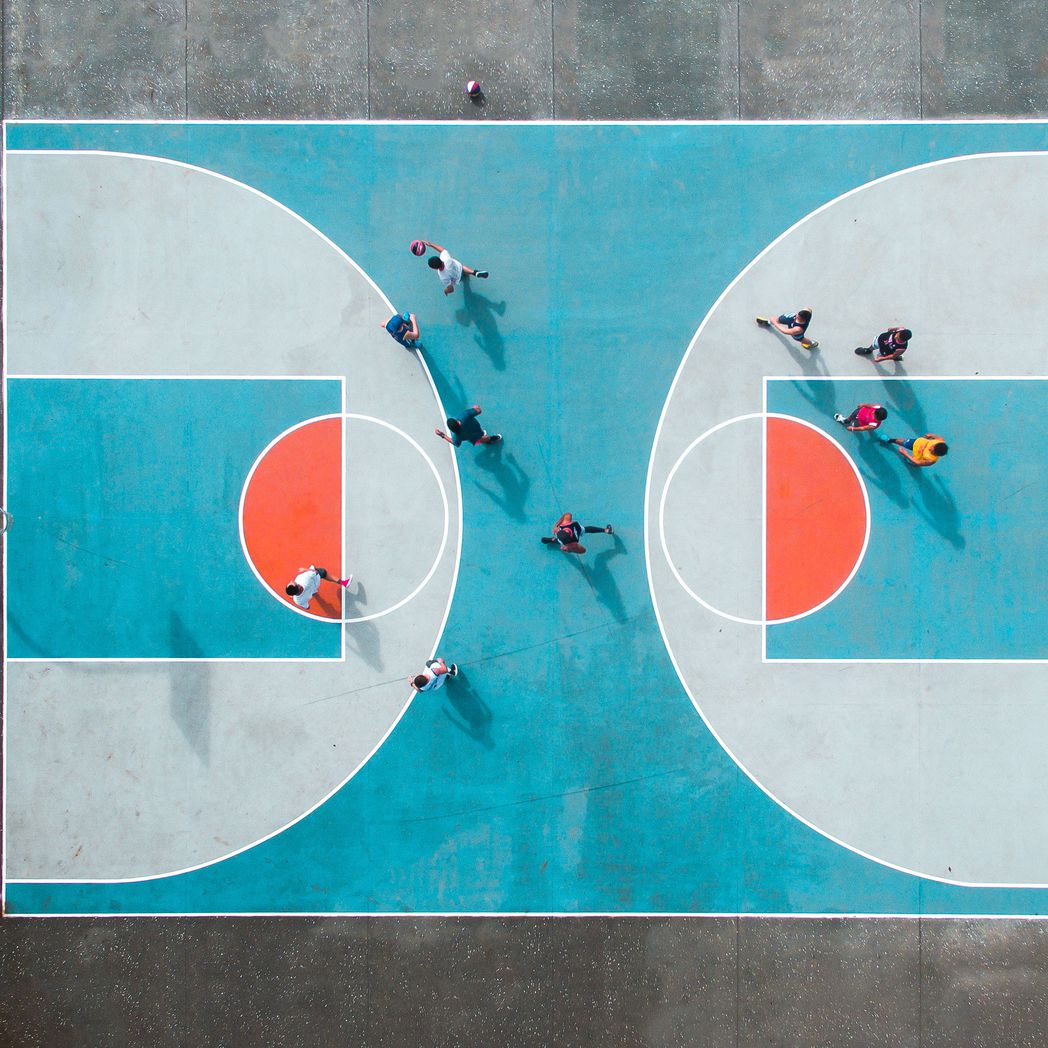 Basketball Mini Full, Potters Park