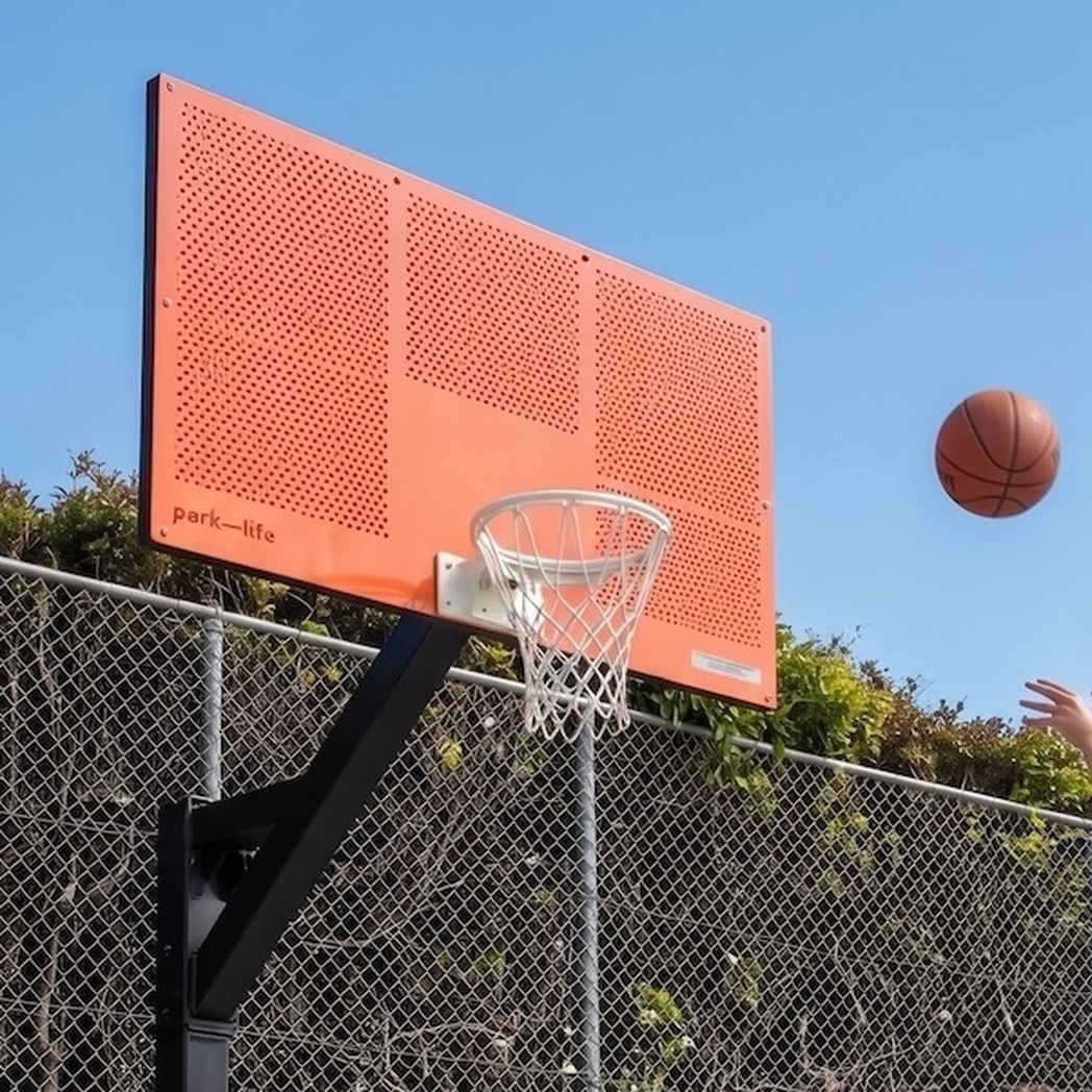 Basketball Grizzly Hoop