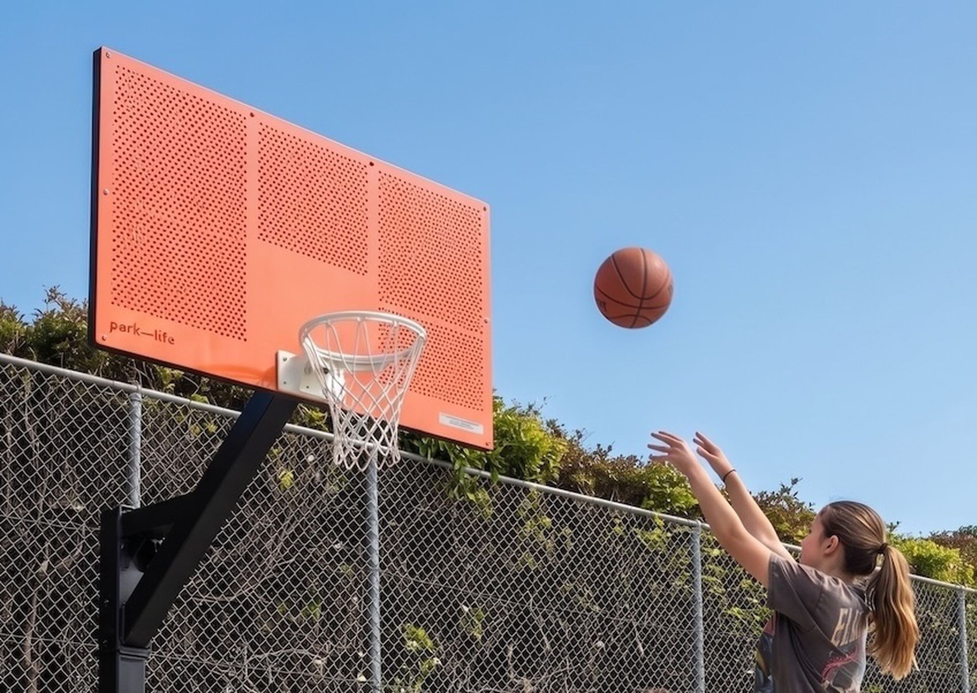 Basketball Grizzly Hoop
