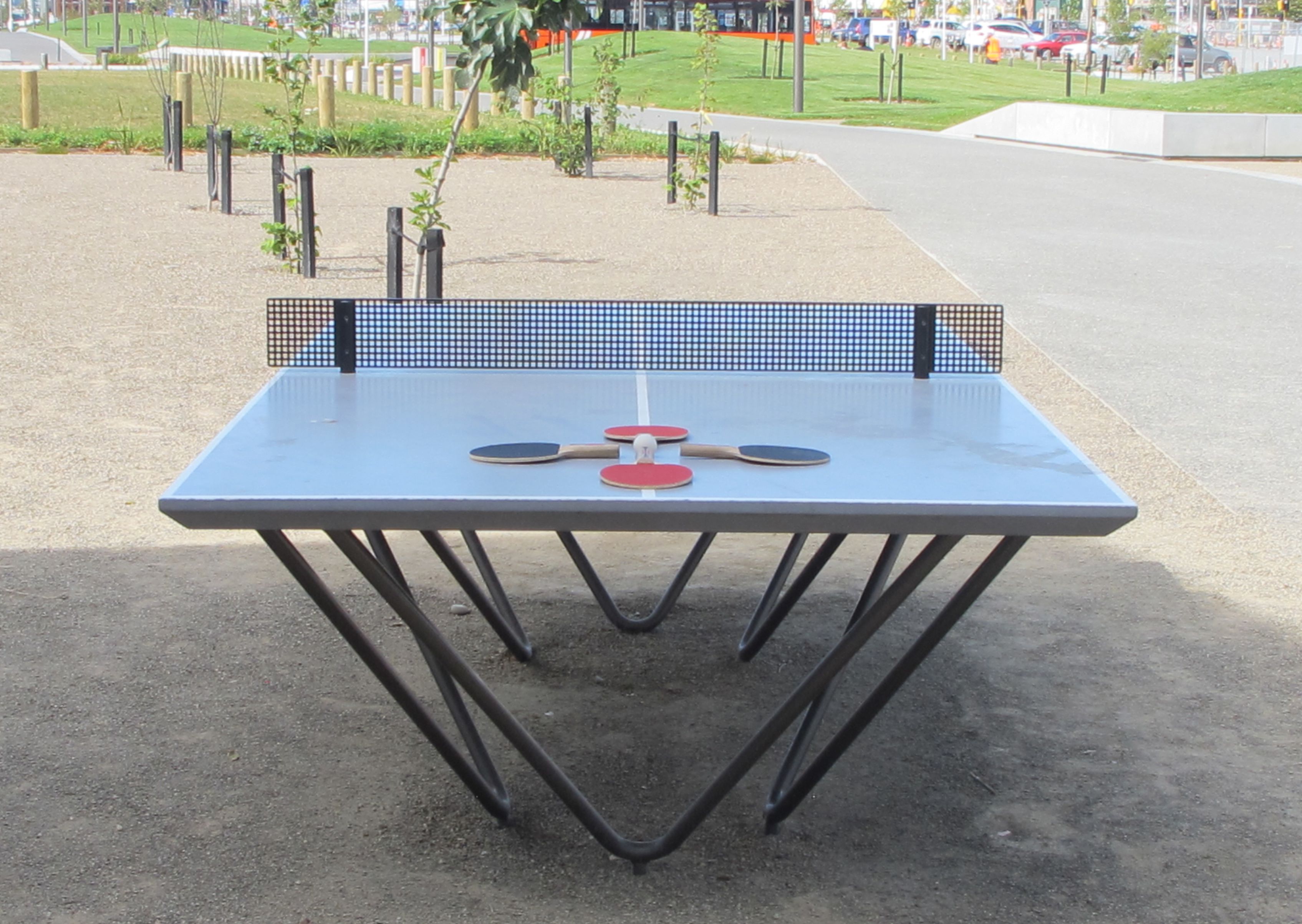 Table Tennis Table Rauora Park