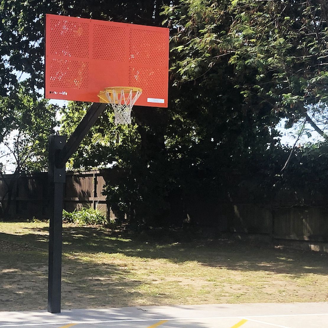 Grizzly Basketball Hoop, Cameron Reserve