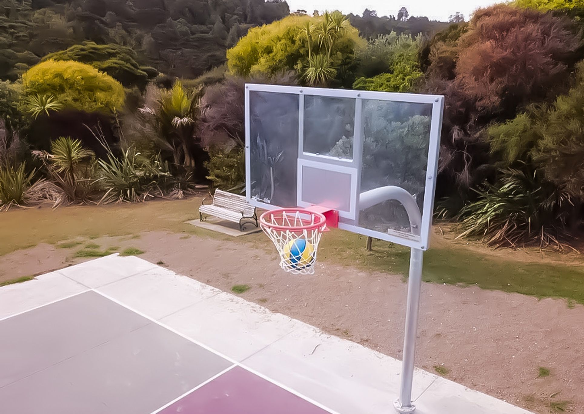 Manuka Basketball Court