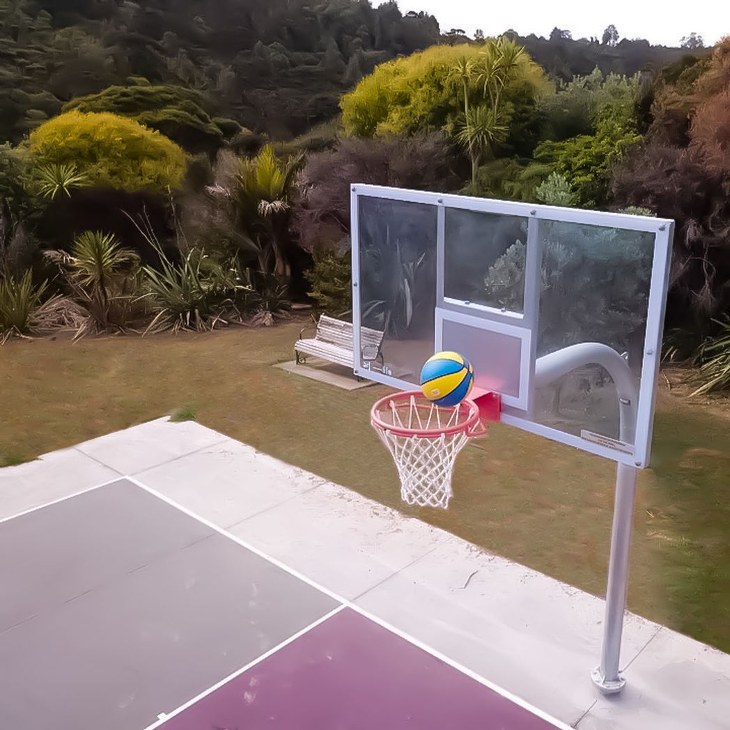 Mighty Basketball Hoop, Manuka Reserve